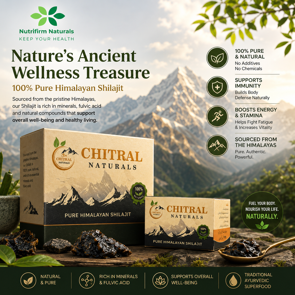 Pure Himalayan Shilajit Resin - 10g